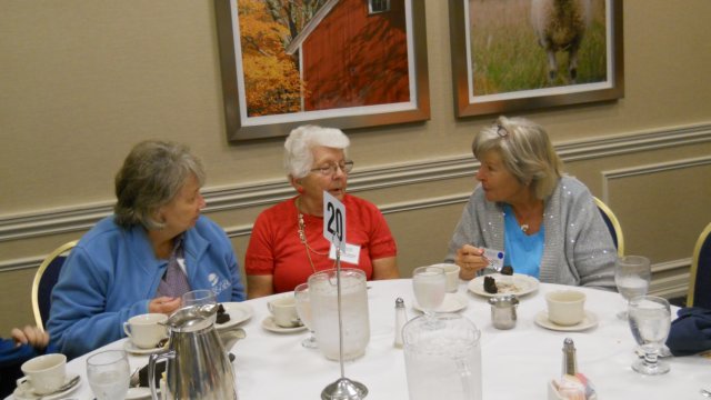 DSCN2381 dscn2381.jpg