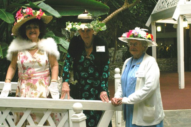 IMGP1936 imgp1936.jpg