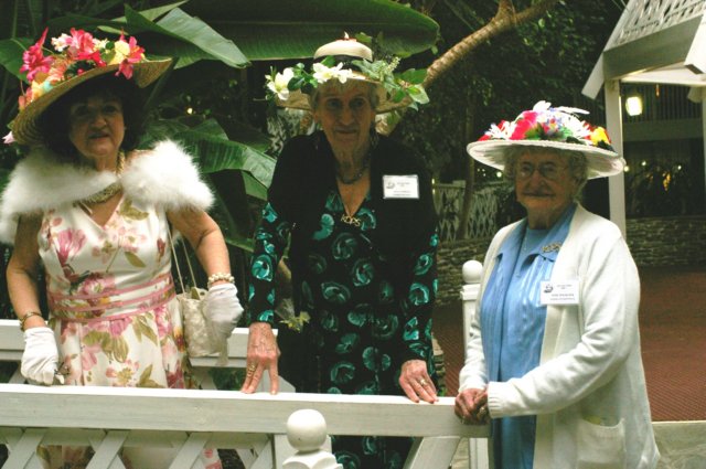 IMGP1937 imgp1937.jpg