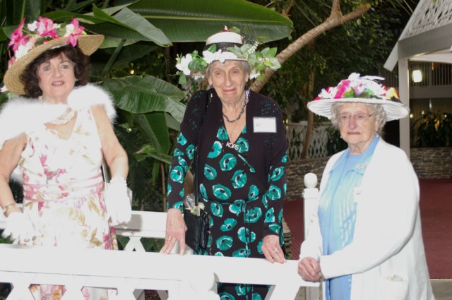 IMGP1939 imgp1939.jpg