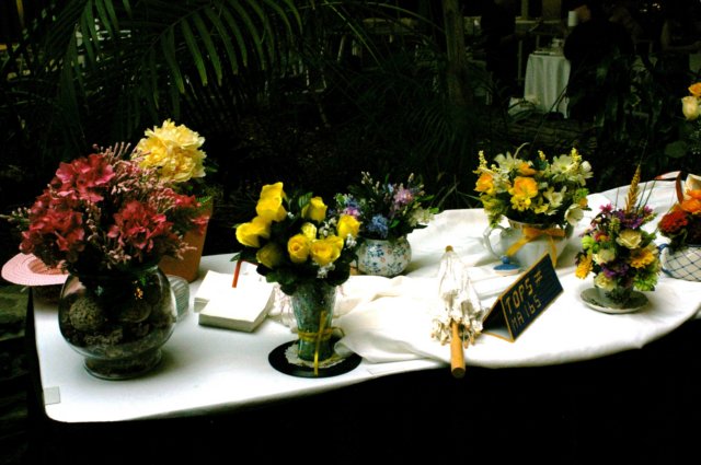 IMGP1941 imgp1941.jpg