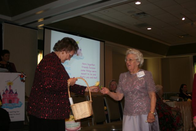 IMG_8621 img_8621.jpg