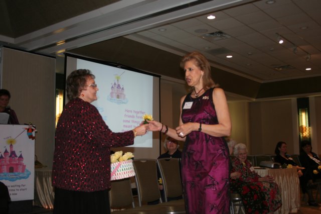 IMG_8633 img_8633.jpg