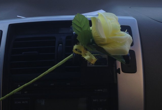 IMG_0523 img_0523.jpg